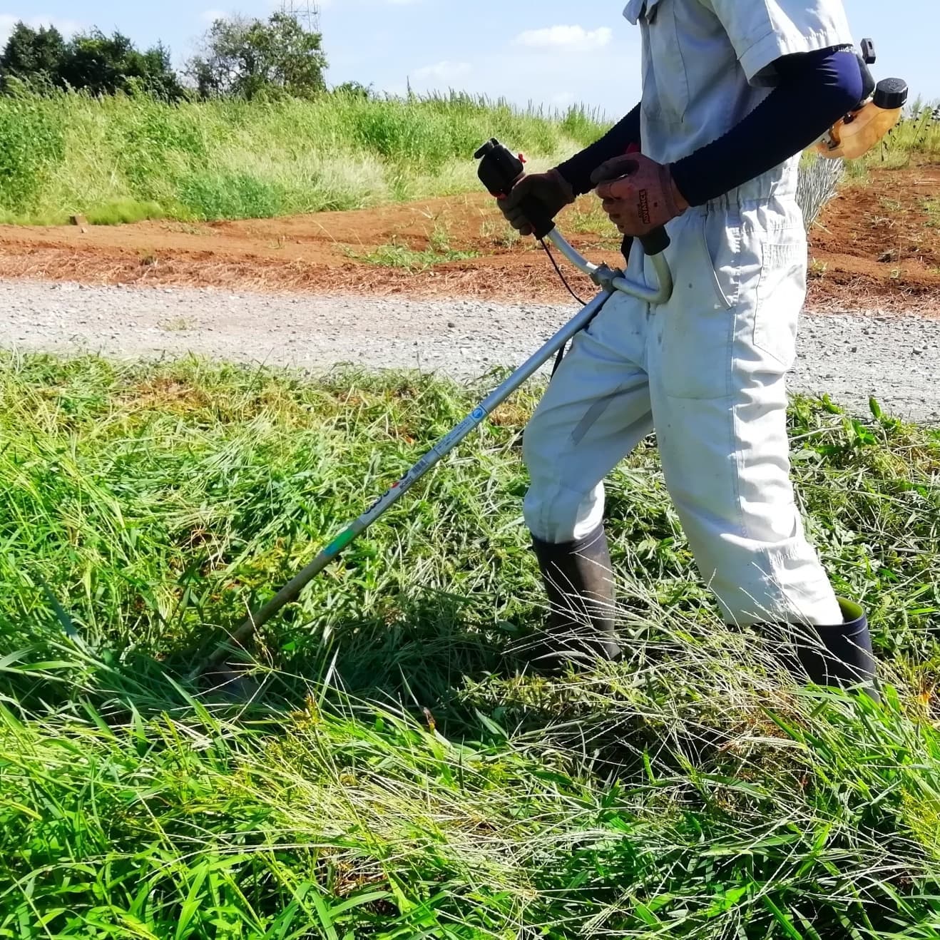 草刈り 豊田市 | 豊田市で草刈りならお庭の窓口豊田市