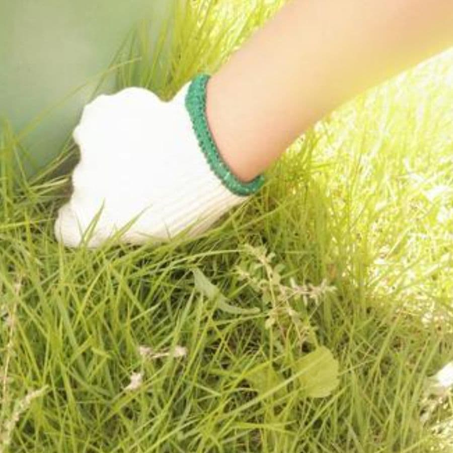 草取り 豊田市 | 豊田市で草取りならお庭の窓口豊田市