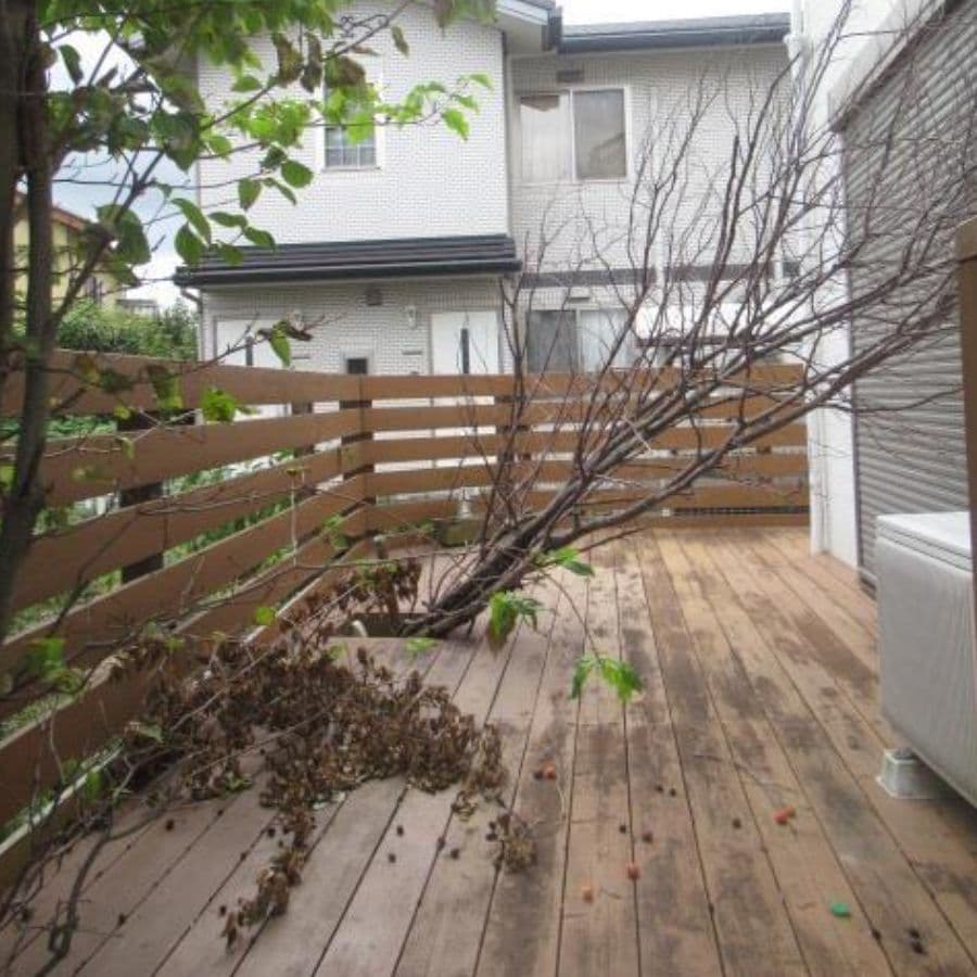 倒木撤去 豊田市 | 豊田市で庭木の倒木撤去ならお庭の窓口豊田市