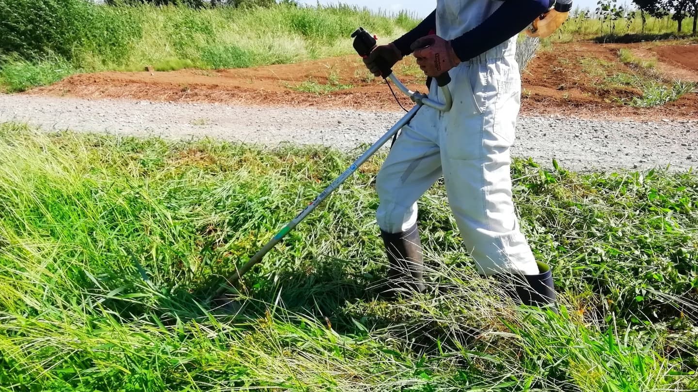 草刈り 豊田市 | 豊田市で草刈りならお庭の窓口豊田市