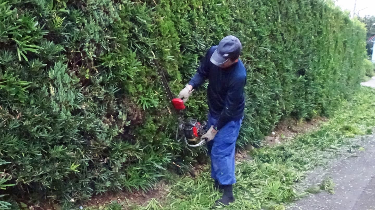 生垣剪定 豊田市 | 豊田市で生垣剪定ならお庭の窓口豊田市