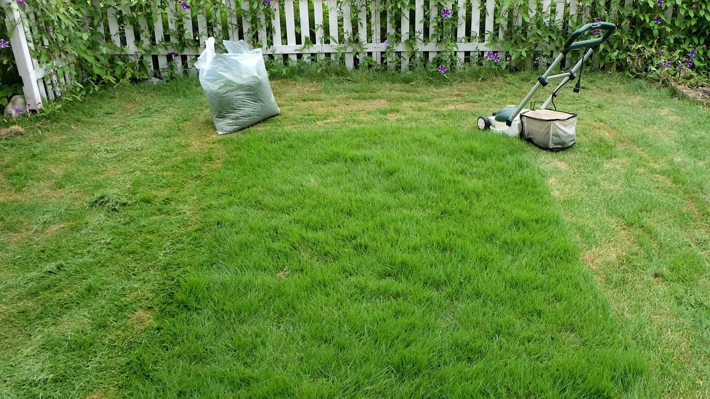 芝生の手入れ 豊田市 | 豊田市で芝生の手入れならお庭の窓口豊田市