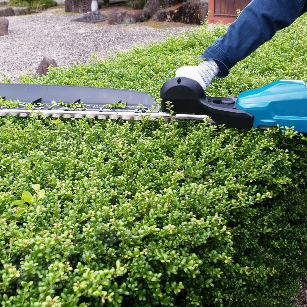 植込み剪定 豊田市 | 豊田市で庭木の植込み剪定ならお庭の窓口豊田市