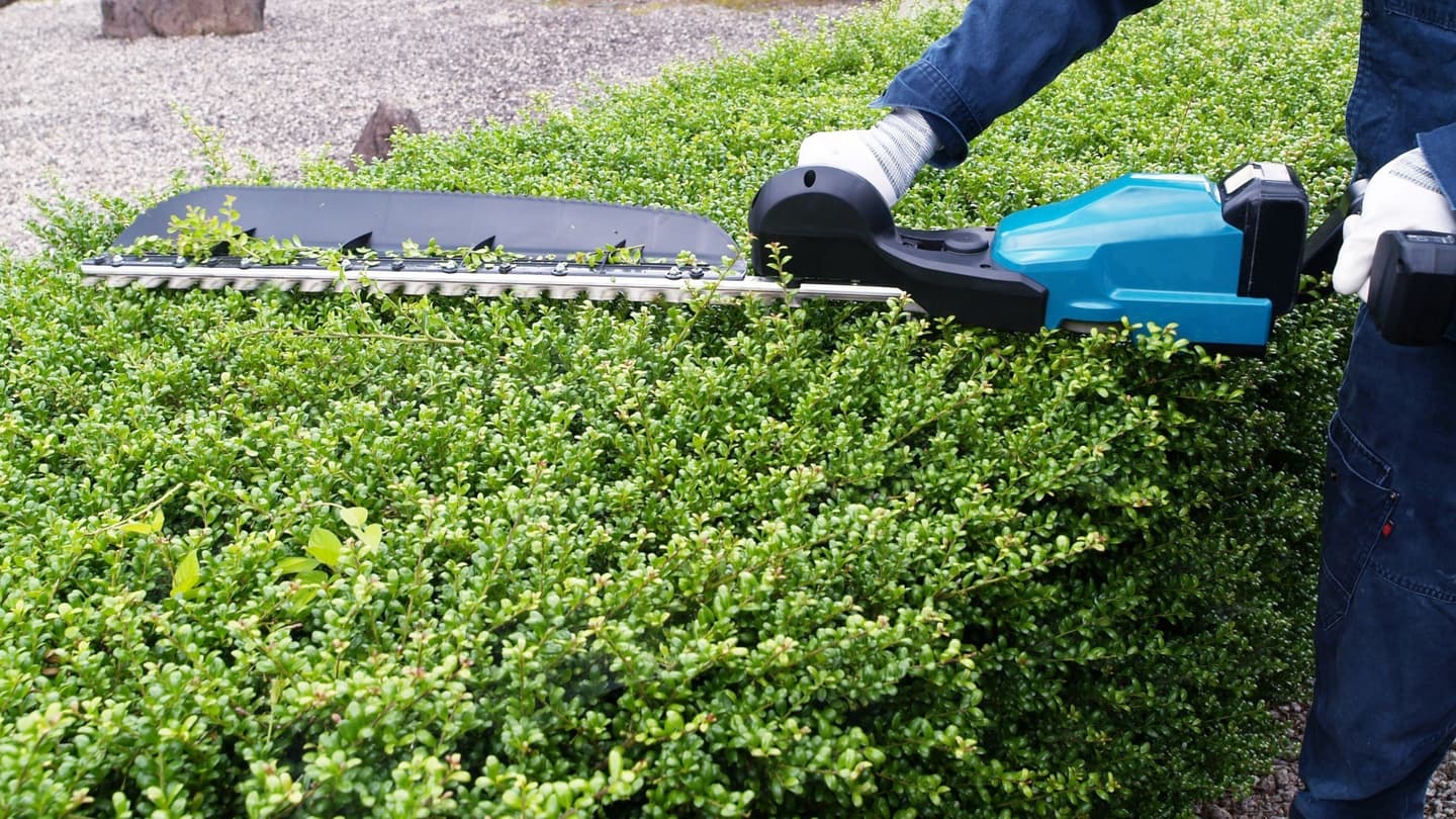 植込み剪定 豊田市 | 豊田市で植込み剪定ならお庭の窓口豊田市