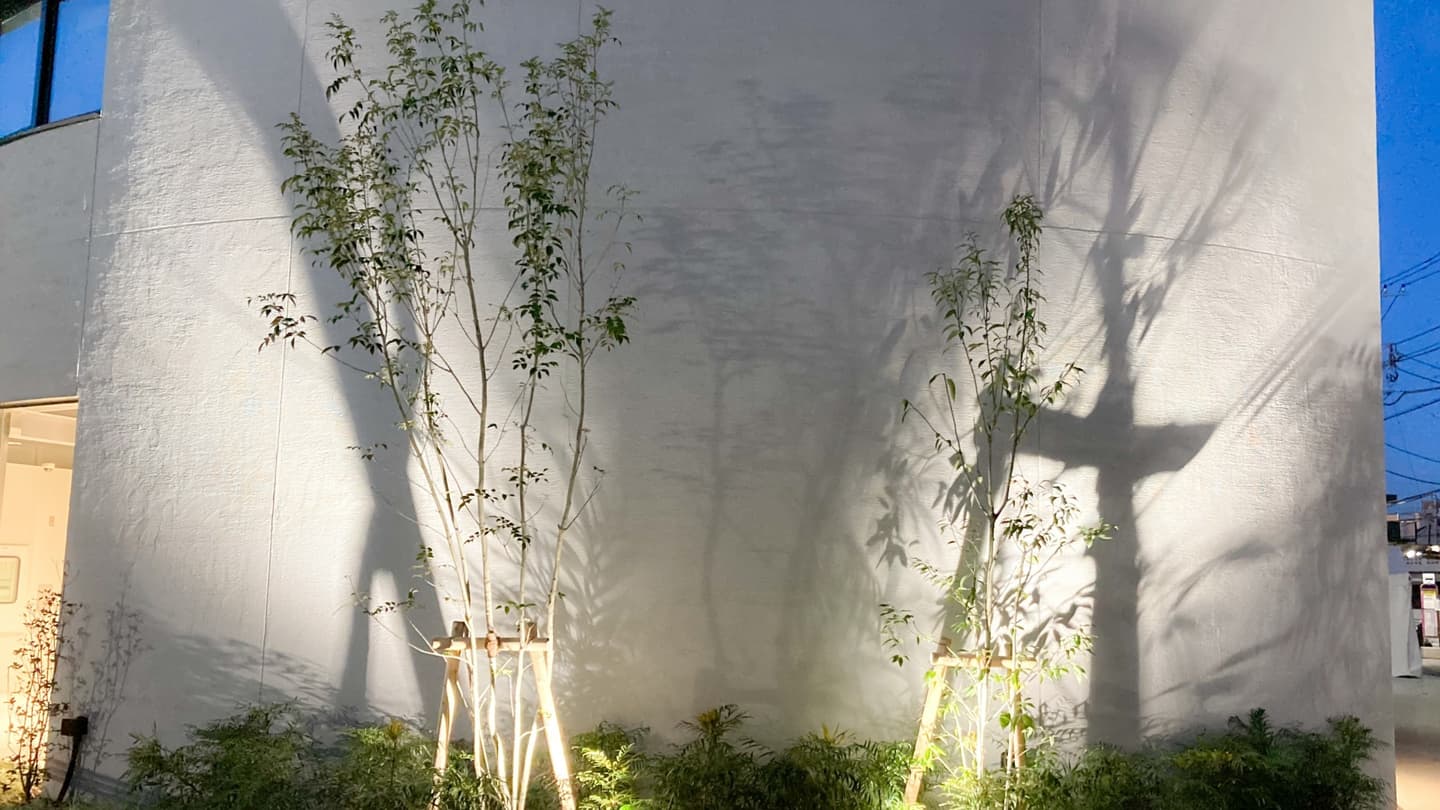 庭木の植栽 豊田市 | 豊田市で庭木の植栽ならお庭の窓口豊田市