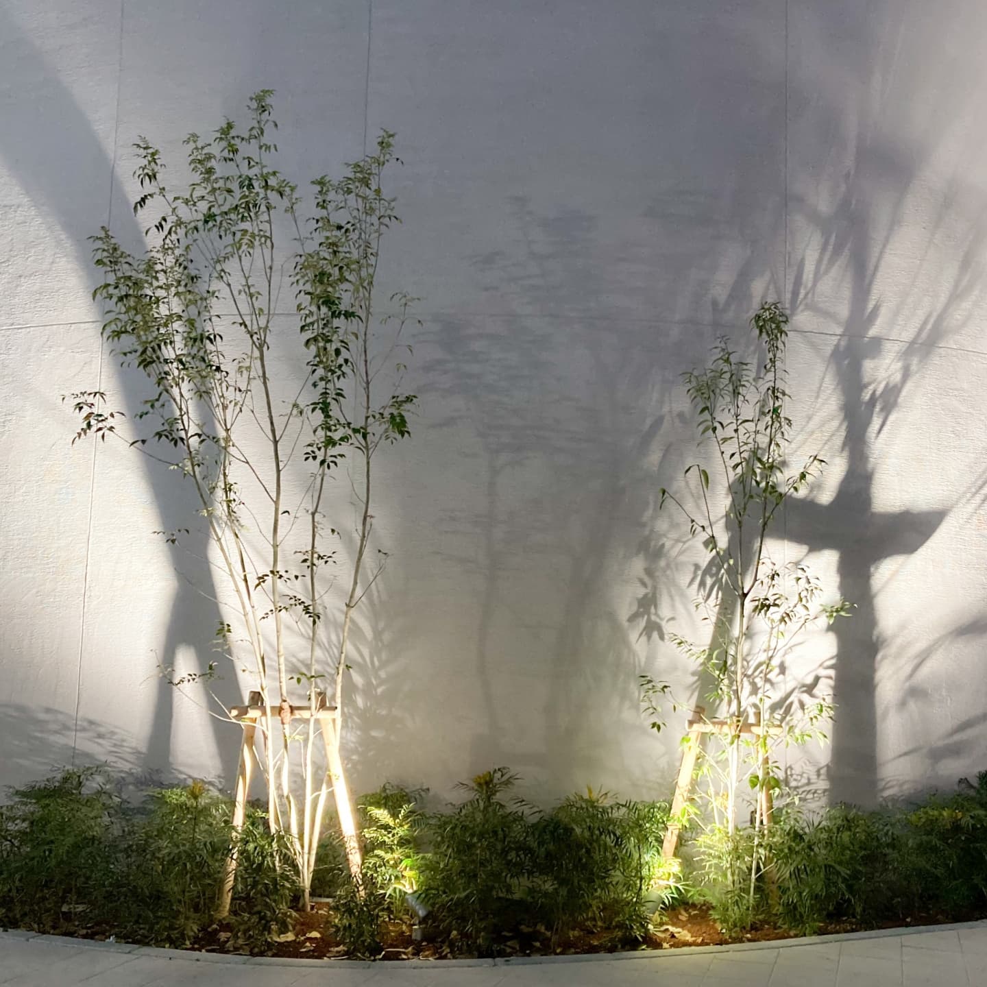 庭木の植栽 豊田市 | 豊田市で庭木の植栽ならお庭の窓口豊田市