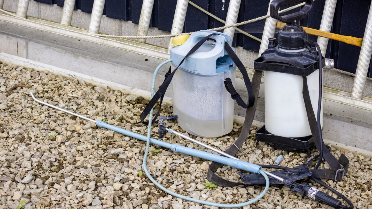 庭木の消毒・害虫対策 豊田市 | 豊田市で庭木の消毒・害虫対策ならお庭の窓口豊田市