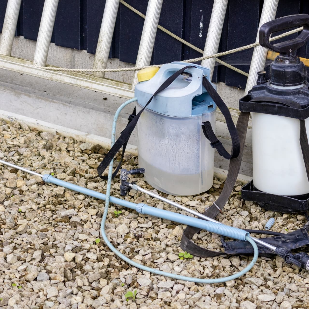 庭木の消毒・害虫対策 豊田市 | 豊田市で庭木の消毒・害虫対策ならお庭の窓口豊田市